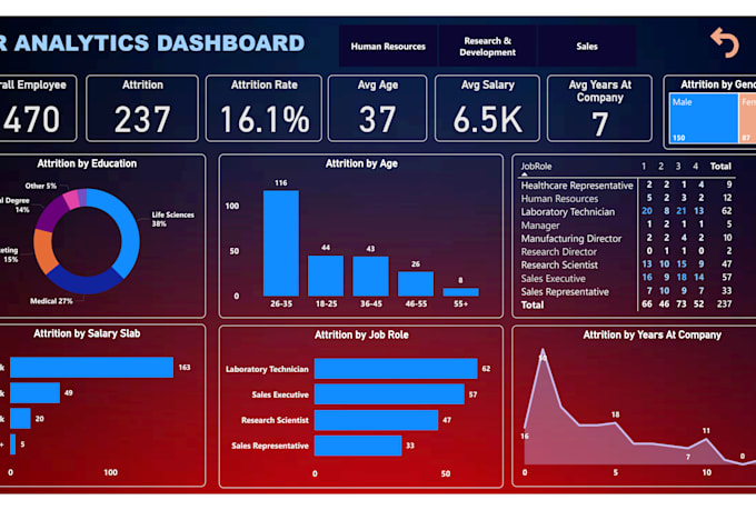 build a professional power bi dashboard and excel report